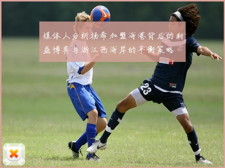 媒体人分析杨希加盟海港背后的利益博弈与浙江西海岸的平衡策略