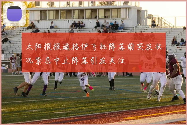 太阳报报道格伊飞机降落前突发状况紧急中止降落引发关注